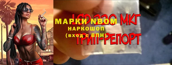 гашик Алексеевка