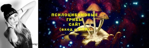 экстази Алексин
