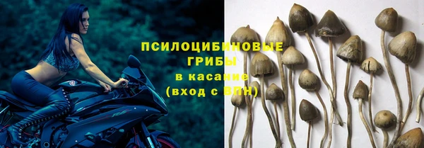 гашик Алексеевка